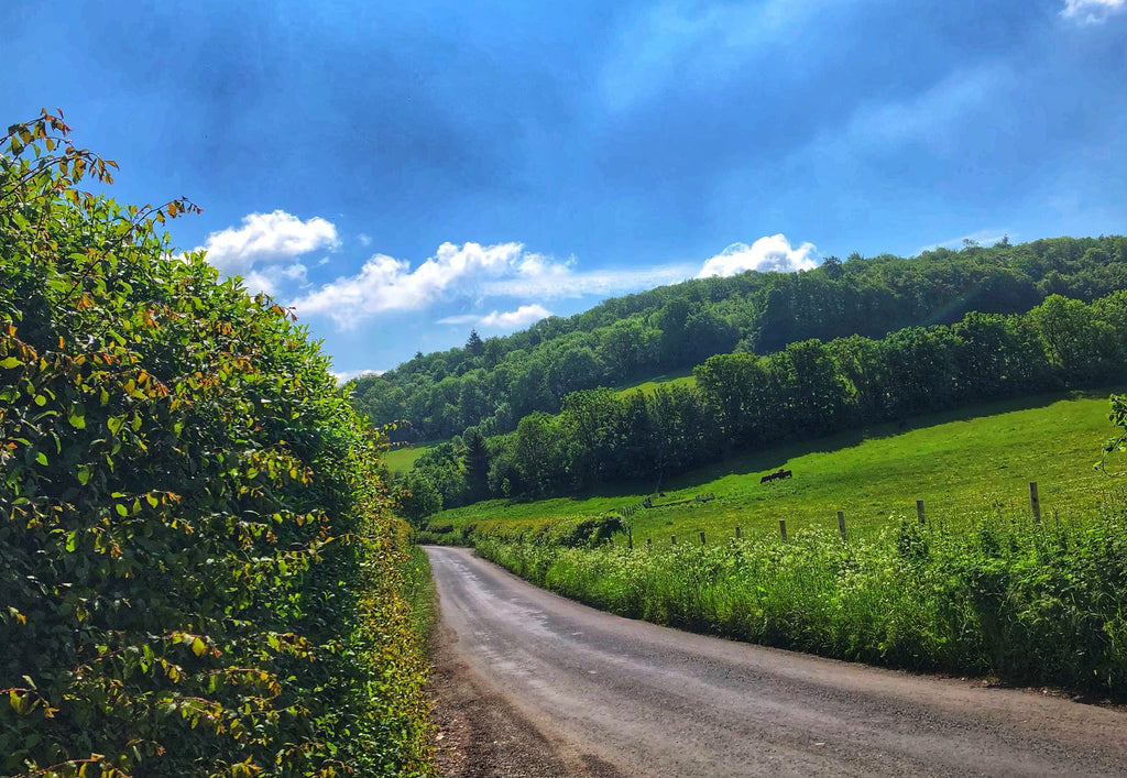 The Best London Cycling Routes For Evening Rides